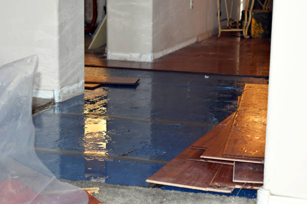 Professional Basement Flood Cleanup technician working in Old Monroe, MO